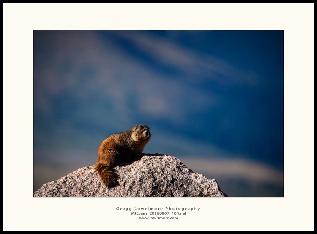 Mt Evans 20160807 104